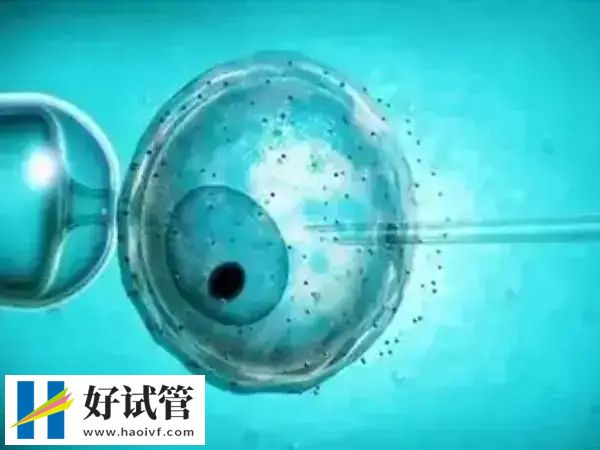 上海取卵冻卵费用大概多少(图1)